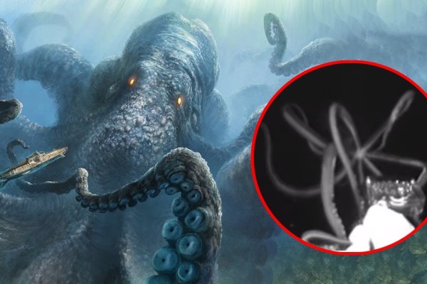 Зеркало крамп kraken