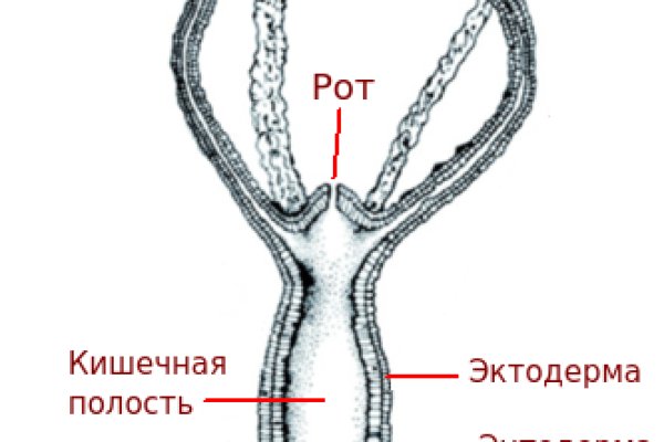 Как попасть на сайт кракен