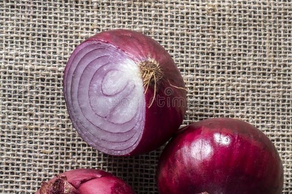 Kraken istand onion ссылка
