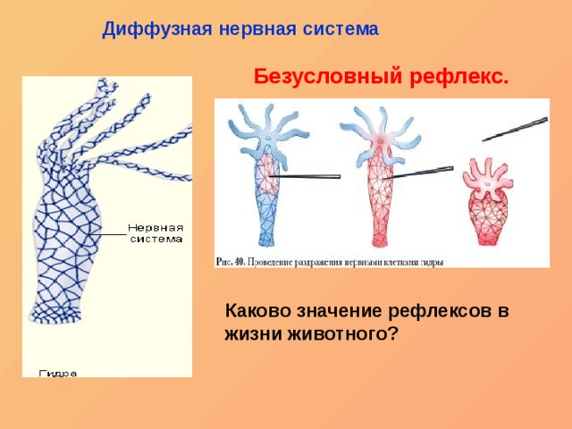 Кракен сайт 13at