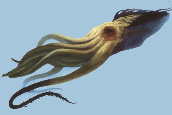 Браузер тор kraken