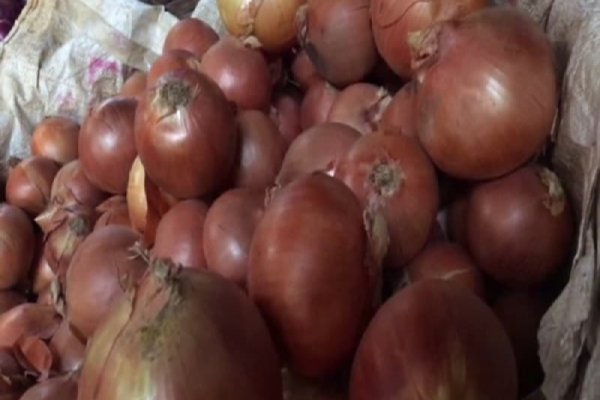 Зеркала сайта кракен настоящие krmp.cc